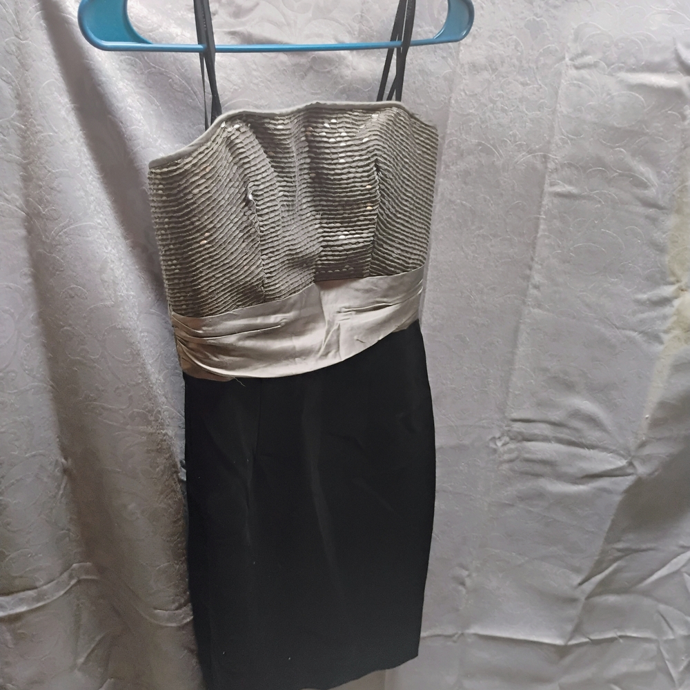 Elegant Black and Silver Strapless Dress